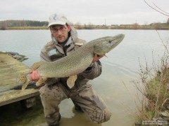 Kliknutím fotografii zvětšíte Štika 81cm