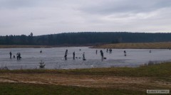 Kliknutím fotografii zvětšíte Niva neděle 9.2.2014