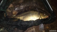 Kliknutím fotografii zvětšíte Welham Lake carb