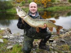 Kliknutím fotografii zvětšíte Esox lucius