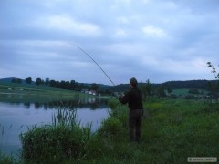 Kliknutím fotografii zvětšíte feeder v akci