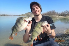 Kliknutím fotografii zvětšíte Top Okouni - Rio Ebro