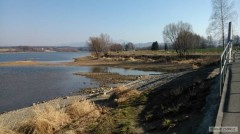 Kliknutím fotografii zvětšíte olesna