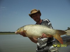 Kapor 87cm 11kg Rio Ebro 2012