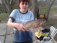 Kliknutím fotografii zvětšíte Amur 45cm