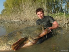 Kliknutím fotografii zvětšíte 252 cm