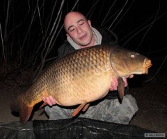 Kliknutím fotografii zvětšíte ...urban carp fishing Labe...