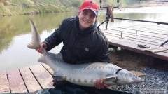 Kliknutím fotografii zvětšíte Jeseter 20kg na feeder