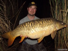 Kliknutím fotografii zvětšíte Kapr řádkáč 16kg