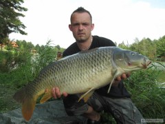 Kliknutím fotografii zvětšíte 84cm