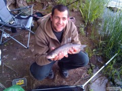 Labe
