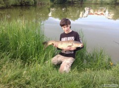 Kliknutím fotografii zvětšíte Kapr 81 cm a 7,5 kg