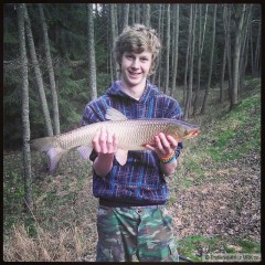 Amur 70cm