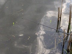 Kliknutím fotografii zvětšíte Chvíle napětí, očekávání a zároveň i pohody