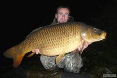 Bolsena carp