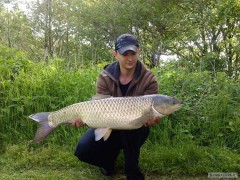 Kliknutím fotografii zvětšíte Amur 95 cm