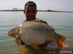Kliknutím fotografii zvětšíte kapřík