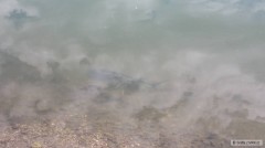 Kliknutím fotografii zvětšíte Jezero Nejedlý