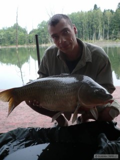 Kapr 85cm 10,5Kg