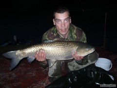 amur 85cm