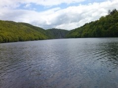 Kliknutím fotografii zvětšíte