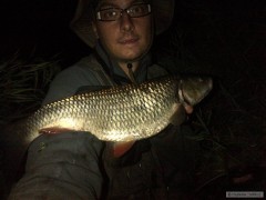 52 cm