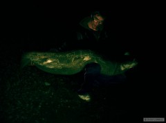 Kliknutím fotografii zvětšíte 21/7/12 174cm