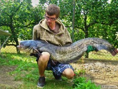Kliknutím fotografii zvětšíte 16/8/12 140cm