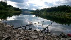 Kliknutím fotografii zvětšíte harta-
