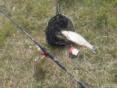 Tlou�t 41 cm