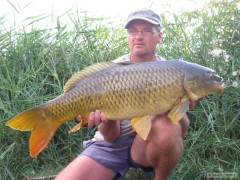 Kliknutím fotografii zvětšíte Kapr 11 kg.