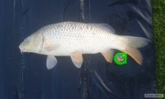 Kliknutím fotografii zvětšíte