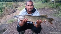 stika  64 cm    :]  