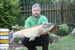 Kliknutím fotografii zvětšíte Amur 100cm