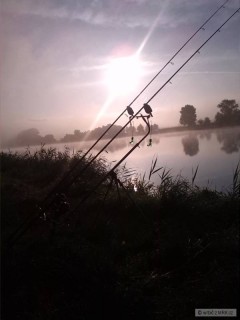 Kliknutím fotografii zvětšíte krásné ráno
