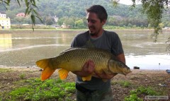 Kliknutím fotografii zvětšíte kapr 90cm, 16,5 kg, 441 022