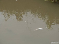 Kliknutím fotografii zvětšíte