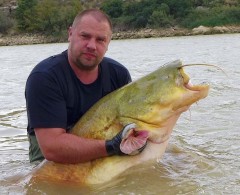 Kliknutím fotografii zvětšíte Sumec 220cm