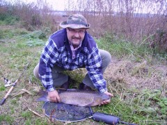 Amur 77cm