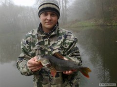 Kliknutím fotografii zvětšíte Okoun 42