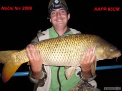Kliknutím fotografii zvětšíte kapr 85 cm