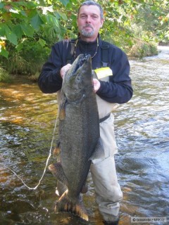 salmon ,salmon river, ontario jezero