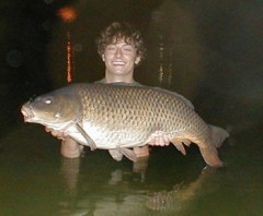 Kapr 90 cm 