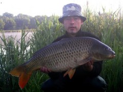Kapr 84cm,10.5kg