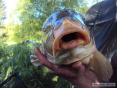 Kliknutím fotografii zvětšíte chceš hudlána