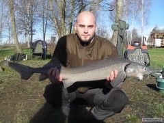 Kliknutím fotografii zvětšíte Jeseter Pepin