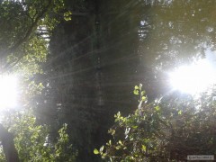 Kliknutím fotografii zvětšíte Rybařova rána