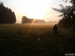 Kliknutím fotografii zvětšíte Mlhavá rána