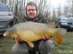 Kliknutím fotografii zvětšíte 71cm 9kg jedina ryba dne muj kamarad potešil