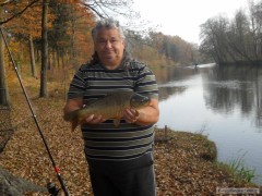 Kliknutím fotografii zvětšíte KAPŘÍK 54 CM